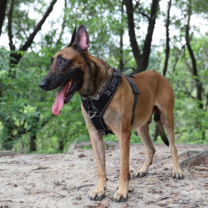 ICEFANG Dog Strap Harness with 4 x Metal Buckles,for X-Large Sized Dog,K9 Vest,Y-Shape Chest,Adjustable Pet Harness,No-Pull Front Leash Clip (X-Large (Pack of 1), Black)