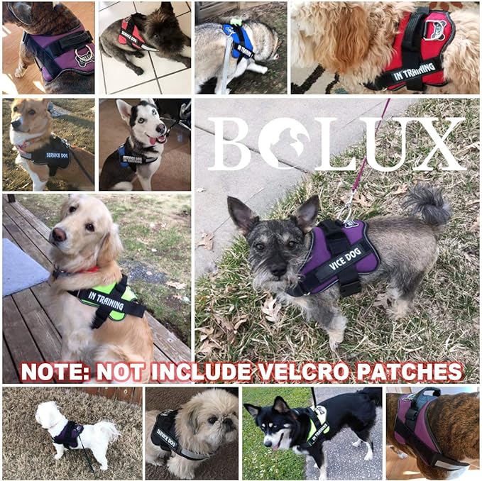 Bolux Dog Harness, No-Pull Reflective Dog Vest, Breathable Adjustable Pet Harness with Handle for Outdoor Walking - No More Pulling, Tugging or Choking (Turquoise, S)