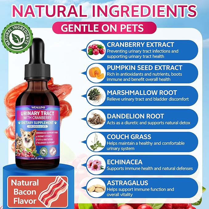 Cat & Dog Natural Urinary Tract Infection Treatment with Cranberry, Kidney, and Bladder Support Supplement, Support for Urinary Comfort & Bladder Flow – Pet Renal Care Support Drops