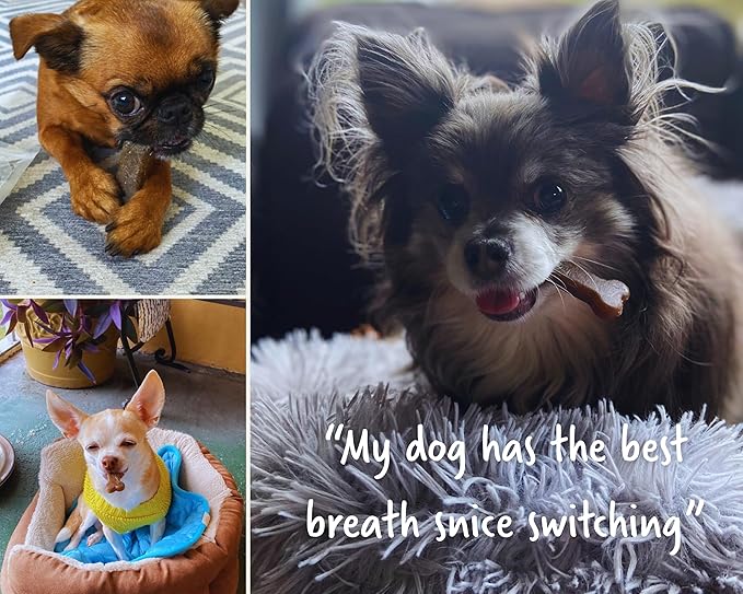 Earthbones Dental Chews for Dogs 10-20lbs, 30 Bones