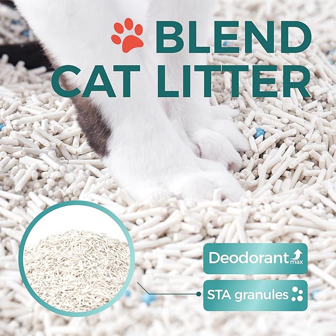 Tofu Cat Litter,Natural Odor Control Dust-Free Clumping Litter(5.5lb×3bags)