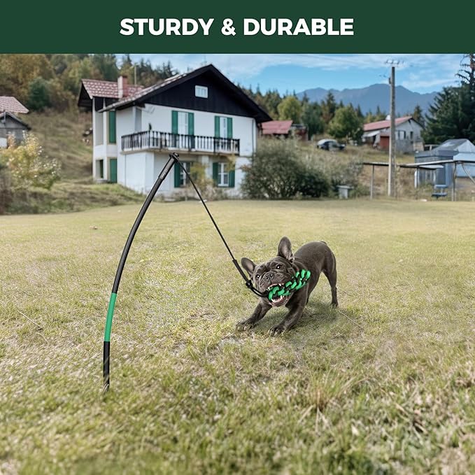 FXW TugPal Outdoor Tug of War Toy for Dog,Interactive Exercise Game with Fiberglass Rod for Yard,39 inch for Small Dogs up to 20 lbs| Rustproof & Hands-Free Play,│Patent Pending