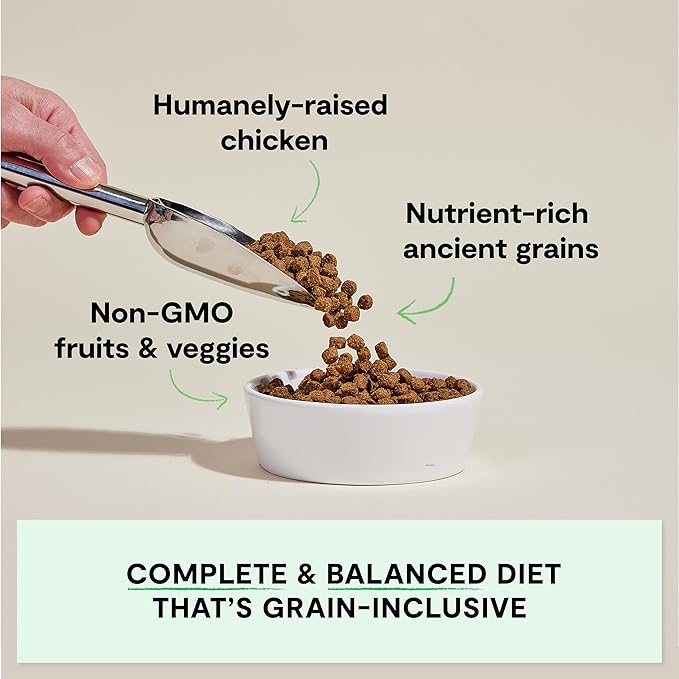 Open Farm, Ancient Grains Dry Dog Food, Protein-Rich & Nutrient Dense, 90% Animal Protein Mixed with Non-GMO Fruits, Veggies and Superfoods, Harvest Chicken Recipe, 11lb Bag