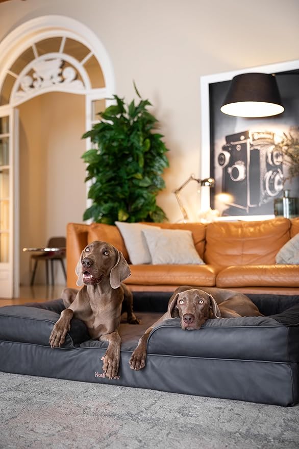 NOAH & PAW Giant Dog Bed XXL, 55x45x11 Inch, Orthopedic Dog Beds, Eggshell Memory Foam Infused with Cooling Gel, Inner Cover, Waterproof, Machine Washable (Faux Leather Sofa Collection)