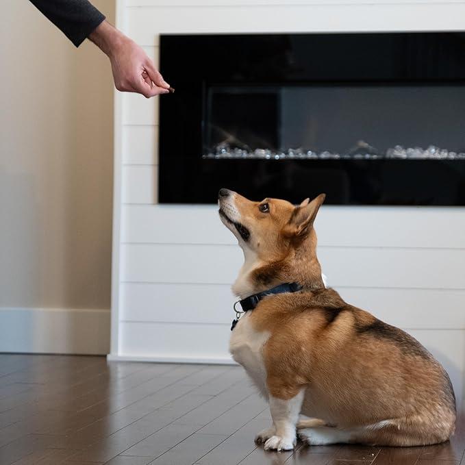 Exclusively Dog Chewy Training Treats Savory Chicken Flavor Grain Free Gluten Free, 100% sourced and Made in The USA, 6 oz.