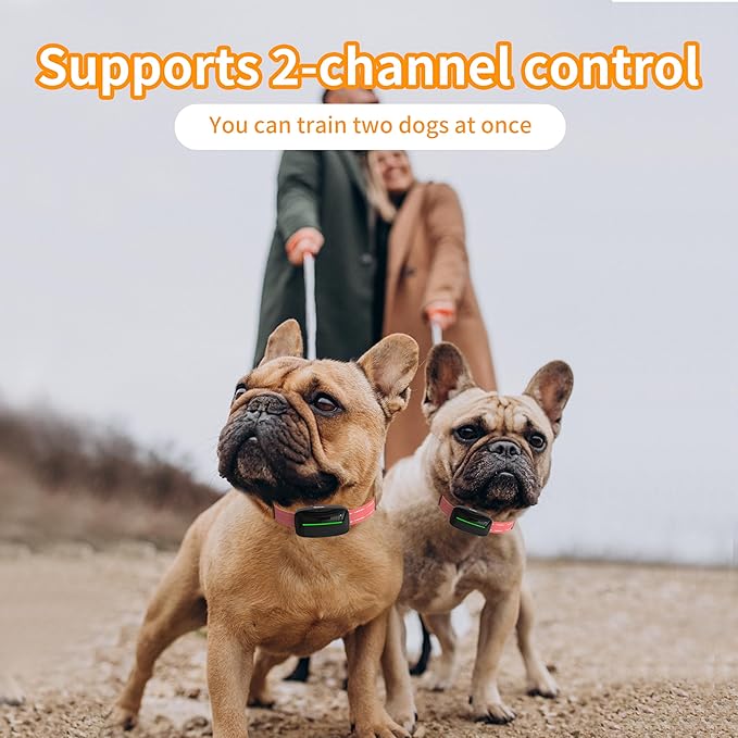 Dog Training Shock Collar 4000FT Dog Bark Collar with Remote IP67 Waterproof 4 Training Modes Beep Vibration Shock Light Mode Magnetic Charger Electric Dogs Collar 8-25 inches Double Shock Rose Bloom