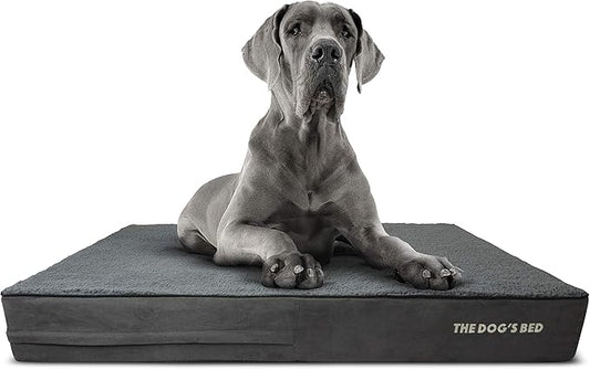 The Dog’s Bed Orthopedic Memory Foam Dog Bed, XXL Grey Plush, Pain Relief for Arthritis, Hip & Elbow Dysplasia, Post Surgery, Lameness, Supportive, Calming, Waterproof Washable Cover
