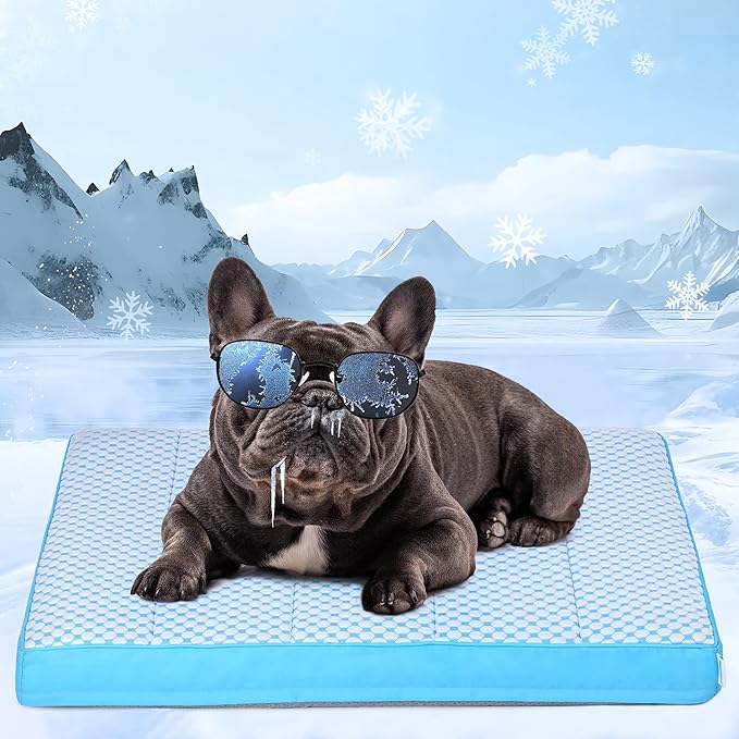 Cooling Dog Bed for Medium Dogs - Orthopedic Pet Beds with Memory Foam, QMAX>0.5, Waterproof Removable Washable Cover for Hot Weather, Blue, 30" L x 20" W x 3" H