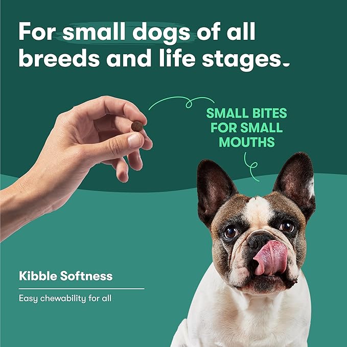 Jinx Premium Dry Dog Food Small Breed - Real Salmon, Brown Rice & Sweet Potato Kibble with Superfoods for Immune Support & Probiotics for Digestive Support - No Fillers – 4lb