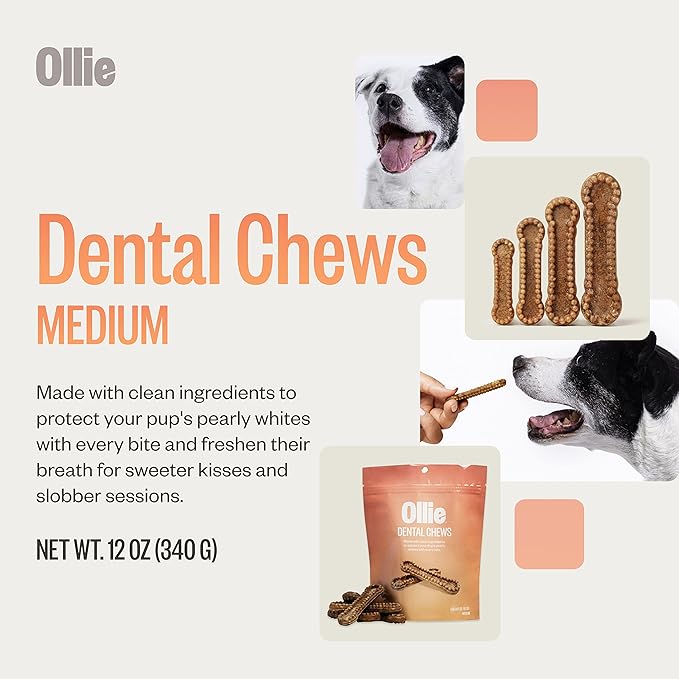 Ollie Dental Chews for Medium Dogs, 12 Oz, Fresh Breath, Teeth Cleaning Treats, Sticks for Dog Oral Care, with Parsley and Cinnimon, for Pups 26-50 lbs