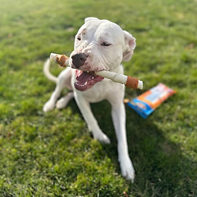 Cadet Gourmet Shish Kabob Dog Chews for Large Dogs, Rawhide Treats with Chicken and Sweet Potato, Healthy & Natural Beef Hide, 10-Inch Sticks, 2 Count