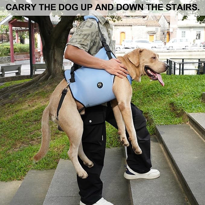Coodeo Dog Lift Harness, Pet Support & Rehabilitation Sling Lift Adjustable Padded Breathable Straps for Old, Disabled, Joint Injuries, Arthritis, Loss of Stability Dogs Walk (Blue, M)