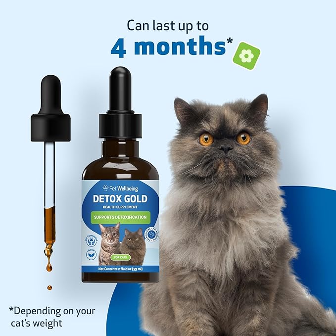 Pet Wellbeing Detox Gold for Cats - Gentle Detoxification & Elimination Support, Immune System Care, Nettle, Blessed Thistle, Burdock Root - Veterinarian-Formulated Herbal Supplement 2 oz (59 ml)