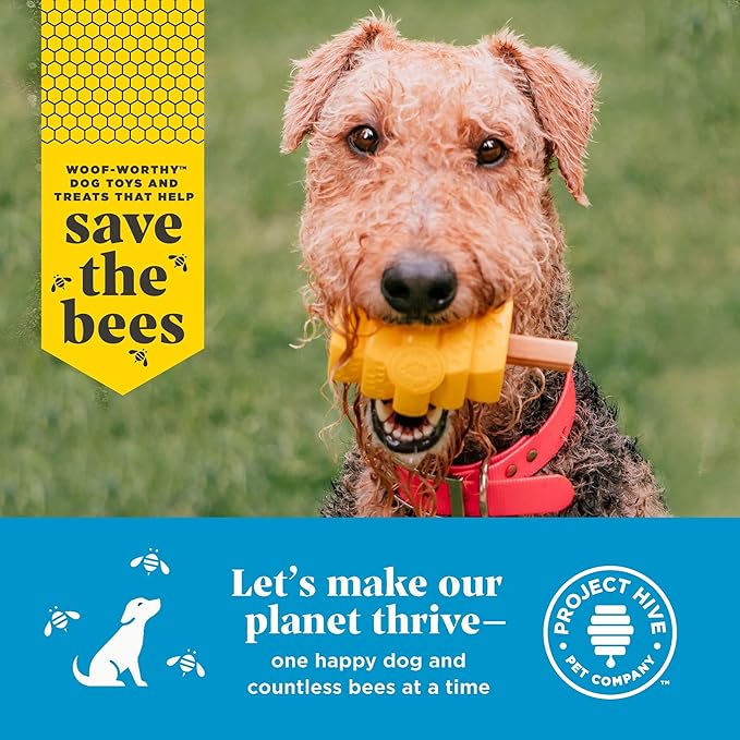 Hive Treats for Dogs 2 Pack — Healthy, Non-GMO Project Verified, Natural Peanut Butter Flavored, Natural, Vegetarian Chews, Made in The USA (Chew Sticks, Large Breeds)