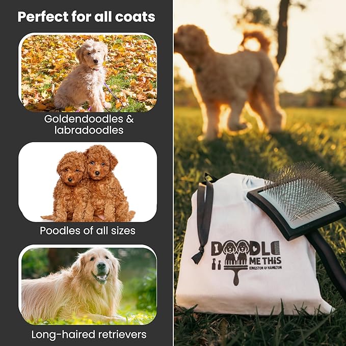Slicker Brush for Dogs Kit by Doodle Me This Kingston and Hamilton includes comb treat pouch bag and guide turns stressful grooming into bonding gently detangles matted curly wavy coats at home