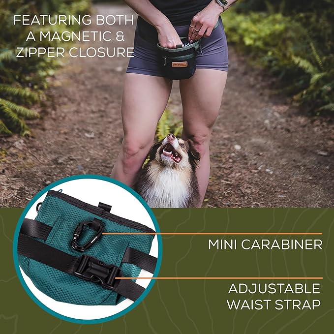 Wilderdog Dog Training Treat Pouch with Magnetic and Zipper Closure, Carabiner Attached, Adjustable Waist Strap - Black