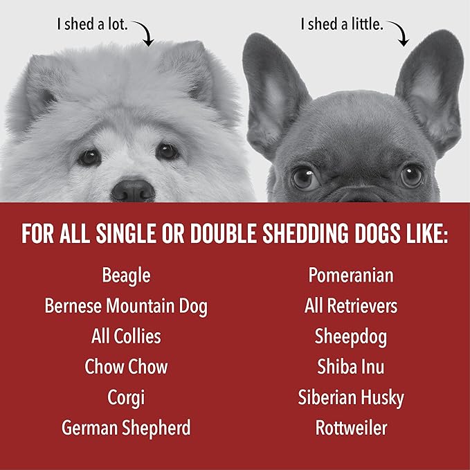 Pride and Groom DogDays Deshedding Dog Shampoo | Fast-Acting Coat Softener & Shedding Control | All-Natural Dog Wash with Essential Oils | Reduces Excess Fur & Dander for Curly & Wavy Coats – 16 oz