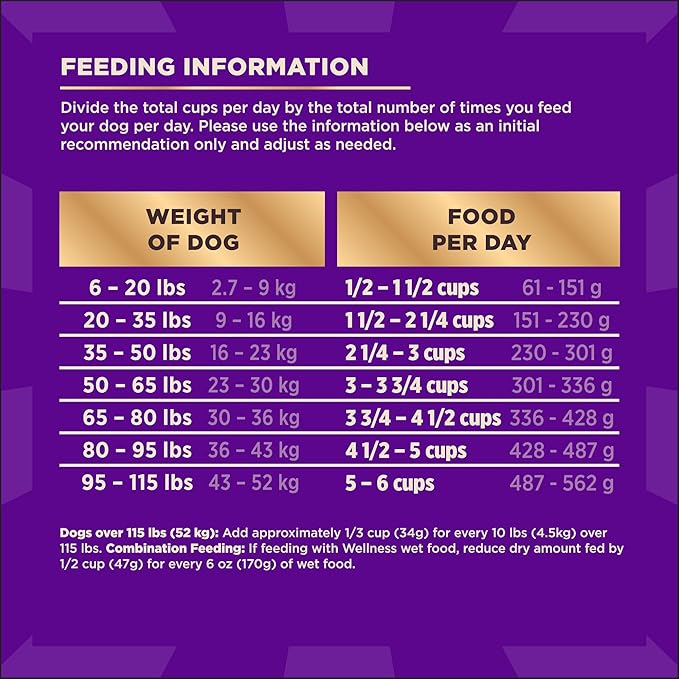 Wellness CORE+ Sensitive Skin & Stomach Dry Dog Food with Freeze Dried Pieces, Wholesome Grains, High Protein, Natural, Salmon & Rice Recipe, (4-Pound Bag)