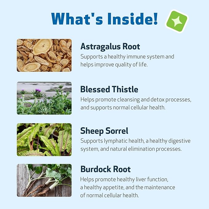 Pet Wellbeing Life Gold for Cats - Supports Detoxification, Immune System Health, Antioxidants - Vet-Formulated Herbal Supplement – 4 oz (118 ml)