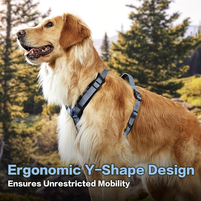 PawsPassion Dog Harness for Small Dogs, No Pull Dog Harness Easy Walk with Metal Hardware, Ergonomic Y-Shaped Design, Soft Padding, Padded Handle, Durable High-Tensile Nylon (Horizon, S)