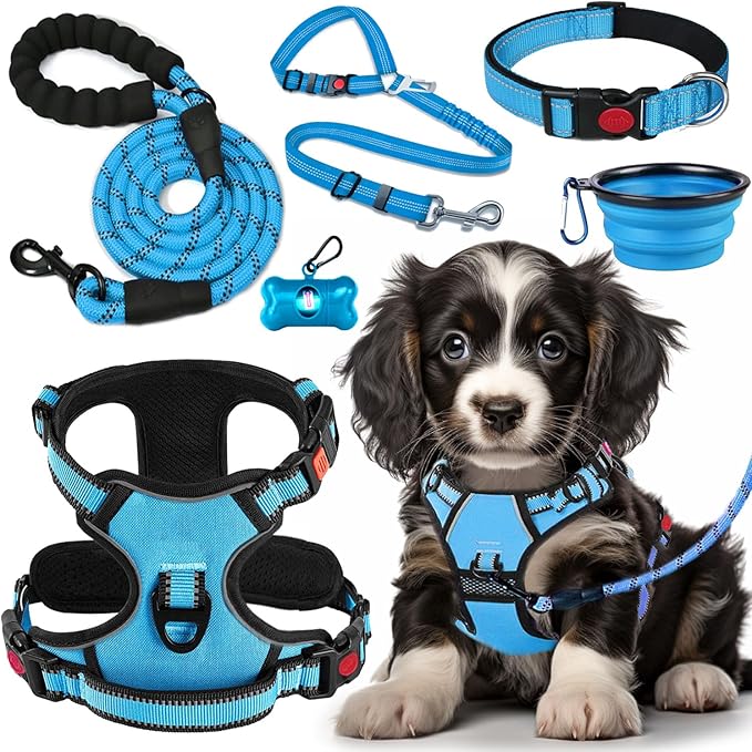 No Pull Dog Harness, Collar & Leash Set with Retractable Dog Seat Belt, Collapsible Dog Bowls and Poop Bag Dispenser - Ideal for Training, Walking, Hiking - Fits Small to Large Dogs(Blue-M)