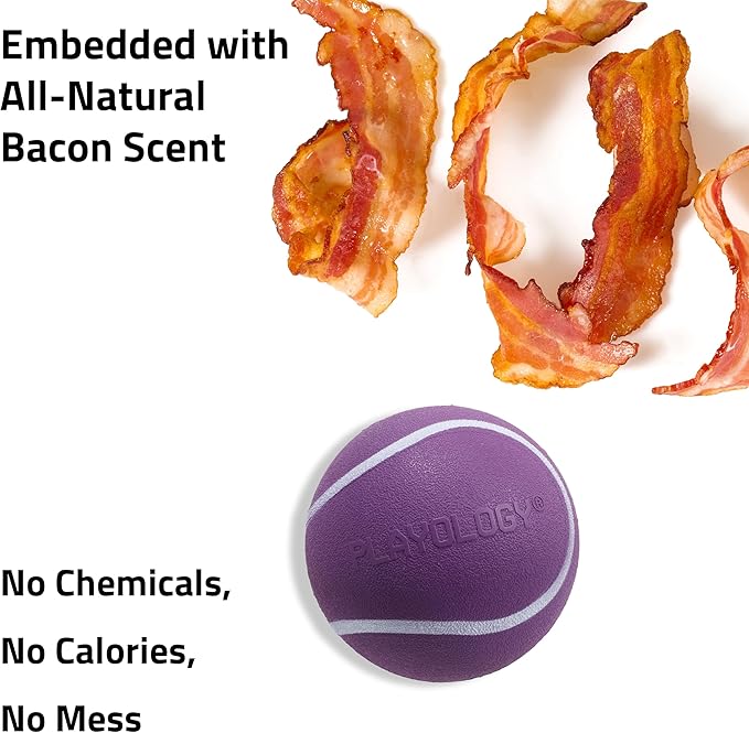 Playology Dog Toys | Squeaky Chew Ball - Bouncy Durable Floating Fetch Ball for Dogs | Jumbo Bacon Scented Toy - Easy to Clean and Made from Non Toxic Materials