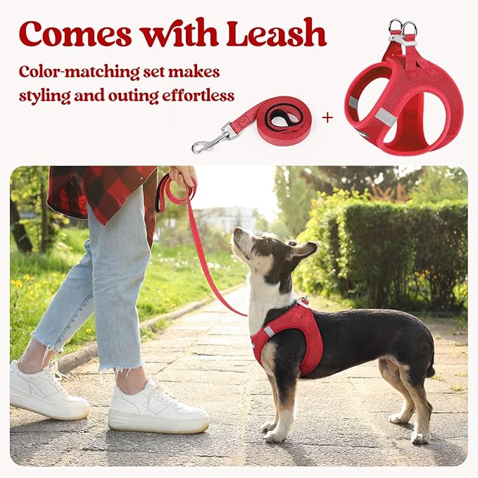 rabbitgoo Dog Harness Small Sized and Leash Set, Step in Soft Light Puppy Vest, Breathable Mesh Pet Harness, Reflective for Outdoor Safe Walking, Red XL