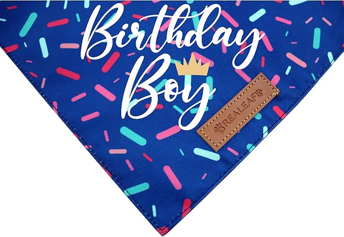 Realeaf Birthday Boy Dog Bandana, Dog Birthday Party Supplies,Premium Durable Fabric, Bandana for Medium and Large Dogs Pets (Blue, Large)