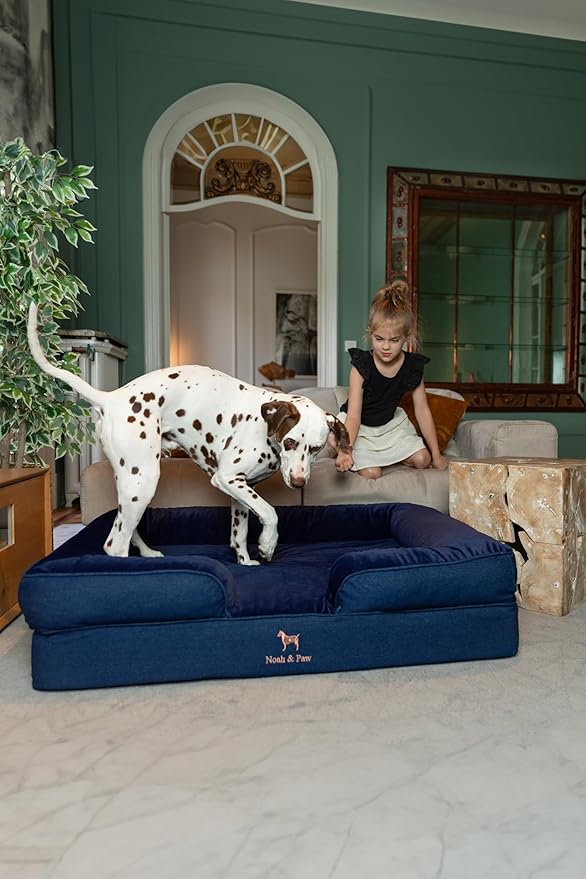 NOAH & PAW XL Dog Bed, 45x35x11 Inch, Orthopedic Large Dog Beds, Eggshell Memory Foam Infused with Cooling Gel, Inner Cover, Waterproof, Machine Washable (Denim Sofa Collection)