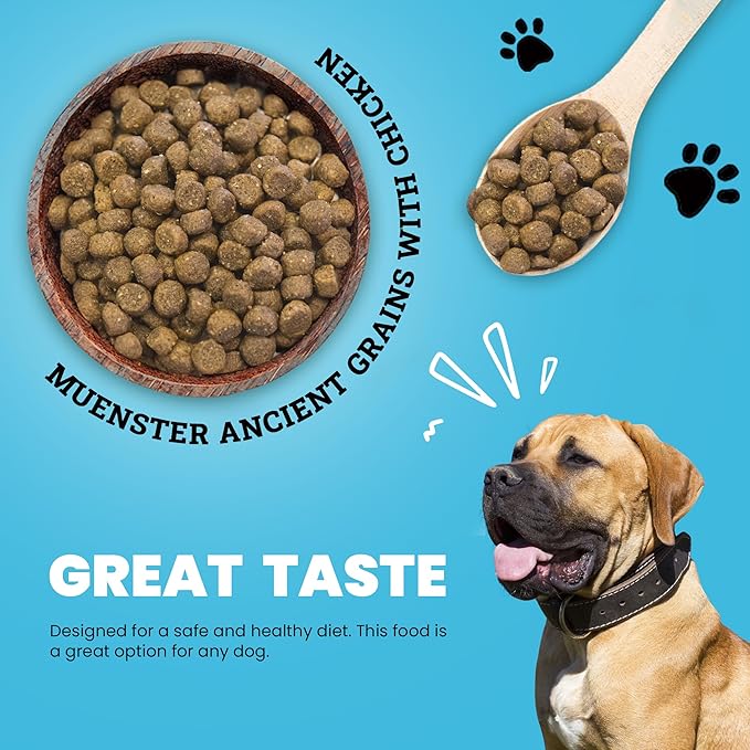 Muenster Ancient Grains Chicken Dry Dog Food, 22lb - Gluten-Free, High Protein, Digestive Support