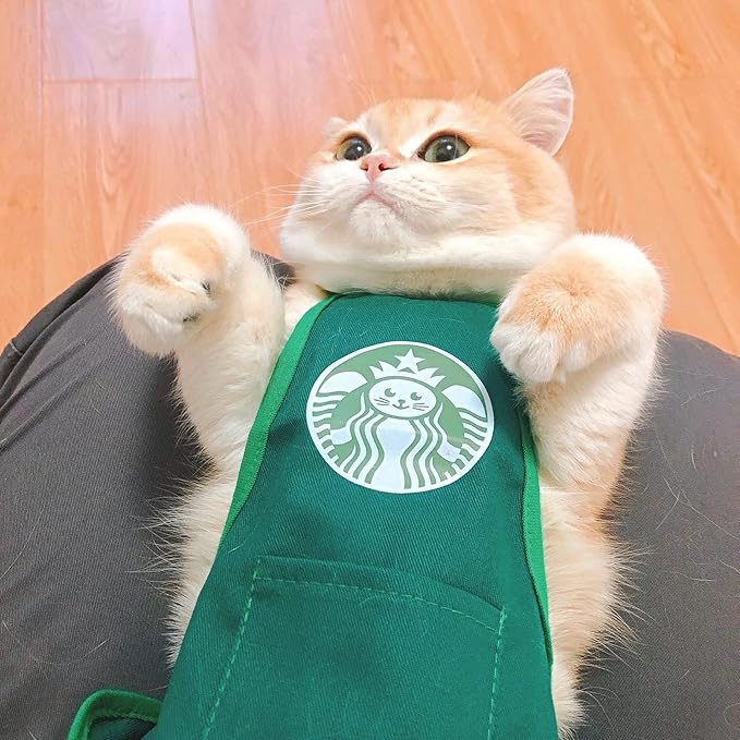 Pet Bucks Cat and Dog Clothes, Funny Costume - Suitable for Most Small Dogs or Cats, Soft, Comfortable and Breathable (S)