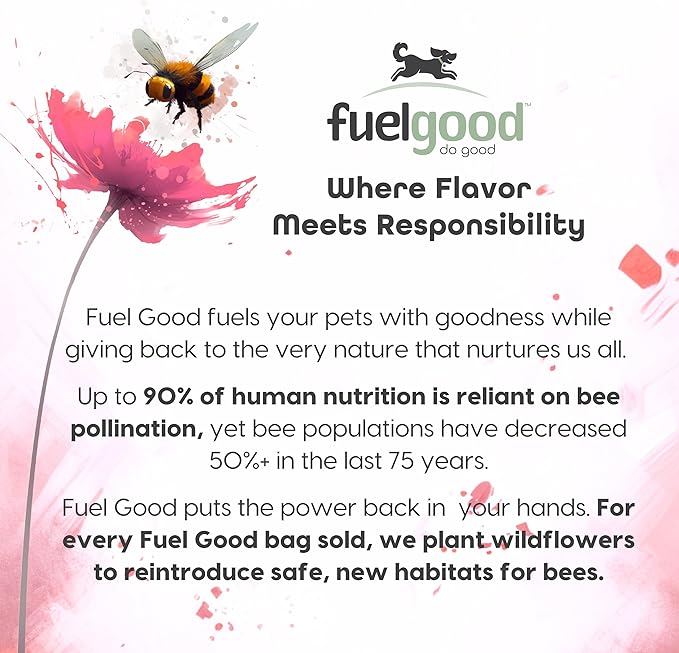 Wooffles High Protein Dog Treats - Pork, Bacon & Banana Recipe - 11oz Bag - High Protein Treats for Dogs, Made in The USA