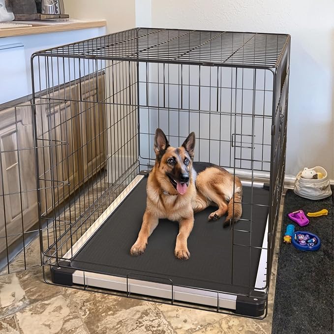 FXW TitanNest Chew-Proof Elevated Dog Bed, Raised Cot for Indoor/Outdoor/Camping Use, Durable & Washable Padded Pet Bed for Large Dogs, 47.0" L x 29.0" W x 7.3" H, Black