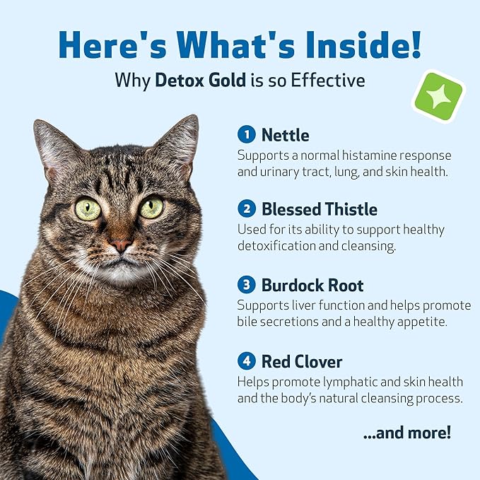 Pet Wellbeing Detox Gold for Cats - Gentle Detoxification & Elimination Support, Immune System Care, Nettle, Blessed Thistle, Burdock Root - Veterinarian-Formulated Herbal Supplement 2 oz (59 ml)