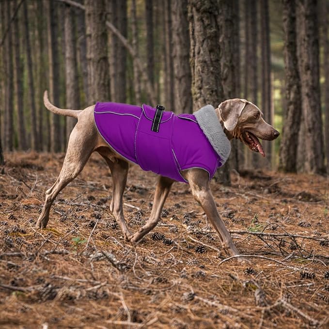 Lelepet Warm Dog Coat Reflective Fleece Vest Waterproof Dog Jacket with Adjustable Buckle Hook & Loop Windproof Cold Weather Coats for Small Medium Large Dogs, Purple, M