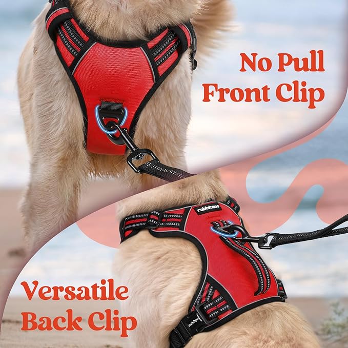 rabbitgoo Dog Harness Small Sized Dog, No Pull Pet Harness with Soft Padded Handle, Adjustable Reflective Vest with 3 Buckles, Easy Walking Harness with 2 Leash Clips, Red, S