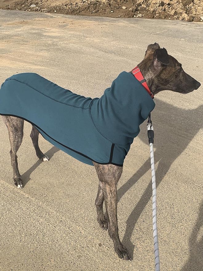 Esobo Warm Pet Clothes Winter Dog Coat Soft Shirt Vest for Small Medium Large Dogs (XX-Small, Lake Blue)