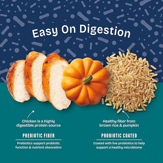 Natural Balance Health Protection Dry Dog Food – Whole Body Health, Easy on Digestion Dog Food Made with Chicken, Brown Rice & Pumpkin for Dogs - 4lbs.