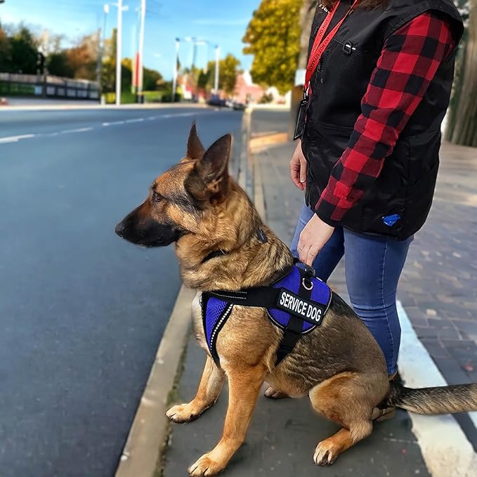 ActiveDogs Full Service Kit - 2XL Blue - Dog Vest Harness With Handle, ID, ID Holder, ADA Cards, Medical Alert Keychain, Leash & Patches
