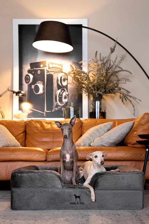 NOAH & PAW Large Dog Bed, 35x25x11 Inch, Orthopedic Dog Beds, Eggshell Memory Foam Infused with Cooling Gel, Inner Cover, Waterproof, Machine Washable (Velvet Sofa Collection)