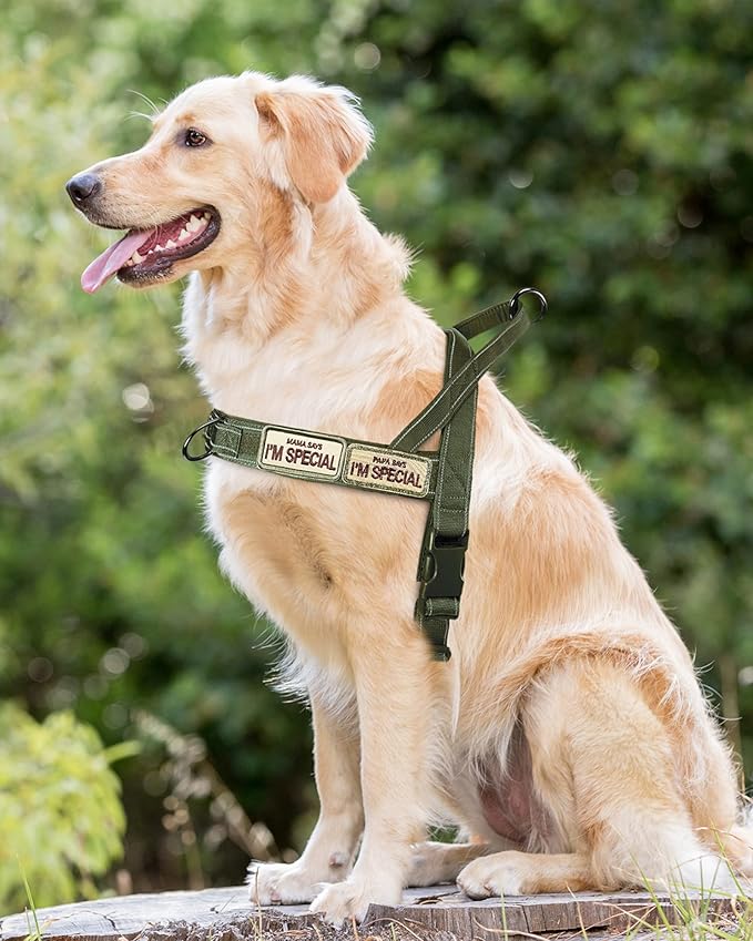 No Pull Dog Harness for Small Medium Large Sized Dogs, Escape Proof Adjustable Dog Harnesses with 2 Patch, Green Camo, XL