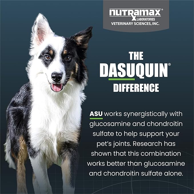 Dasuquin for Small to Medium Dogs, 84-Count