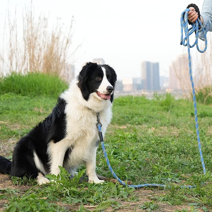 NTR Heavy Duty Dog Leash,15FT Long Rope Lead for Training with Swivel Lockable Hook,Reflective Threads and Comfortable Handle, Dog Lead for Walking,Hunting,Camping for Medium and Large Dogs