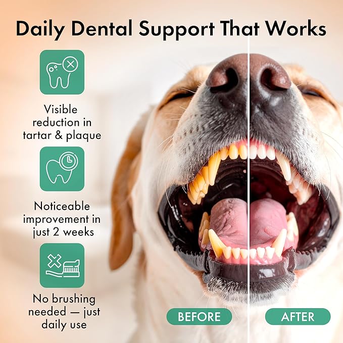 Dog Dental Powder – Dog Breath Freshener – Plaque Off and Tartar Remover for Dogs, Bad Breath Treatment, Natural Tooth Cleaning Powder for Dogs of All Breeds and Sizes – Oral Care Supplement for Pets