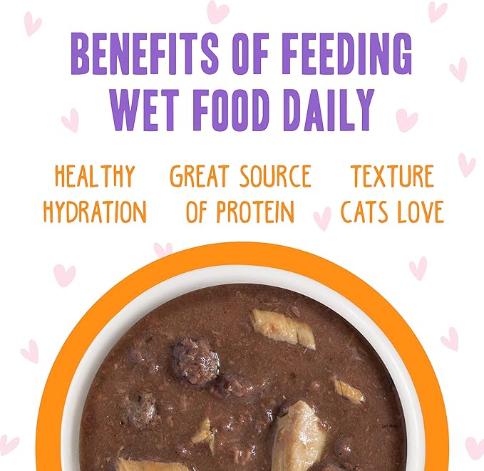 B.F.F. OMG - Best Feline Friend Oh My Gravy!, Tuna & Salmon Start Me Up with Tuna & Salmon, 2.8oz Can (Pack of 12)