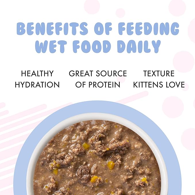 Weruva Kitten, Chicken & Pumpkin Formula in Gravy, 3oz Can (Pack of 12)