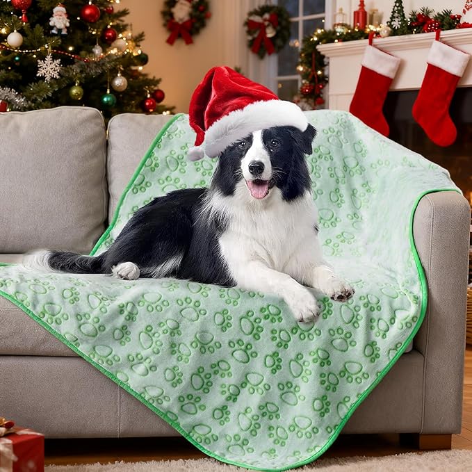 Stuffed Premium Green Soft Dog Blanket, with Flannel Green Cute Paw Print, Puppy Supplies Dog Stuff Essentials, 43 * 66 inches for Large Dogs