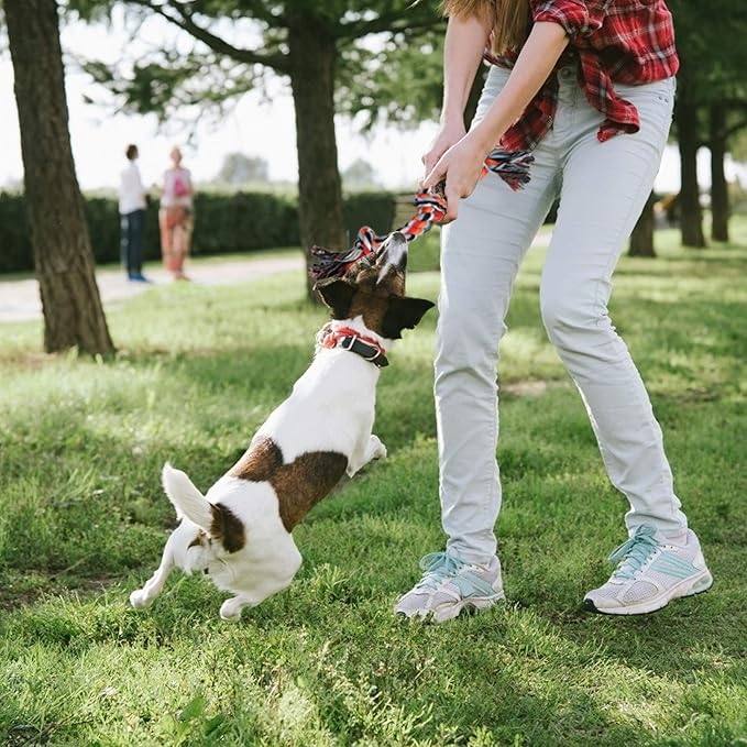Dog Rope Toy 4 Pack - Puppy Teething Toys for Small Breed - Indestructible Dog Chew Toys for Aggressive Chewers - Cotton Tug of War Dog Toys for Boredom, Teeth Clean
