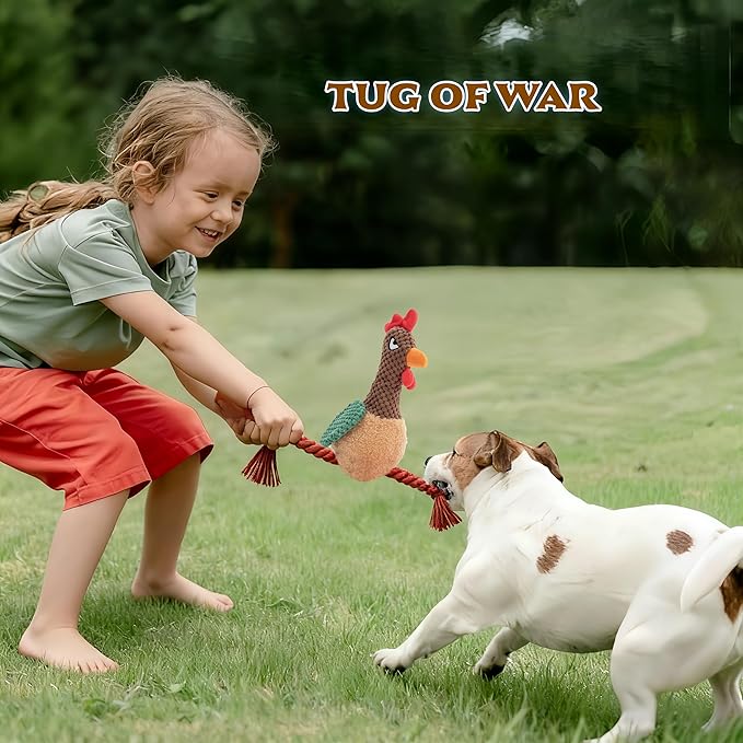 Plush Rooster Dog Toy with Squeaker, Interactive Rope Legs for Small and Medium Dogs, Multicolor Tug and Fetch Chew Toy