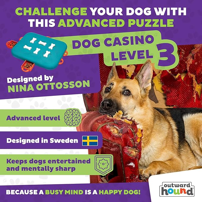 Outward Hound by Nina Ottosson Dog Casino Treat Puzzle Enrichment Toy, Level 3 Advanced, Turquoise